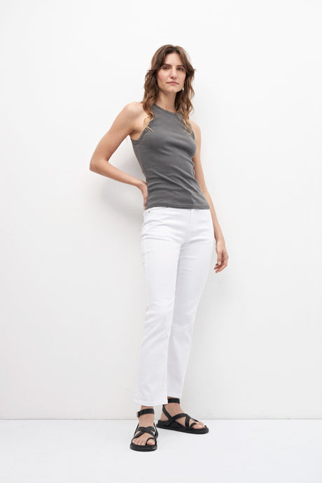 MUSCULOSA CANALE